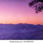 欧美69vivo 4rw4yov