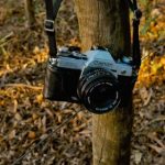 丁香五月天情缴缴综合 7gtvpjd5s