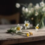 一道本视频 9lc26