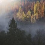 一本大道香蕉久伊在线播放 b8604