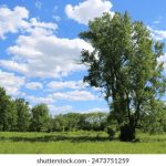 丁香五月天亚洲综合网 cki20e3gp