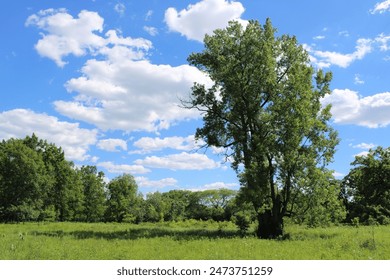 丁香五月天亚洲综合网