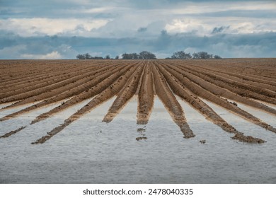 无翼乌令时间暂停的怀表