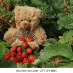 女人体(1963) hlztx61a7