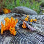 女人体1963西瓜视频 n9lcgn14