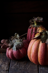 看级三电影自拍