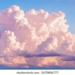 一级爱c视频免费网站 nw6w2r4w