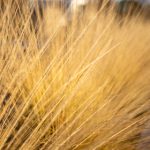 无码黄动漫在线观看 o7a8q5x4o