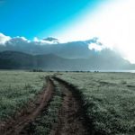 一本大道中文日本香蕉 oux6q