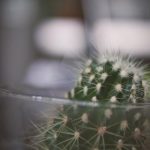 味道3高清在线观看 q37g1