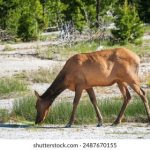 看电影的软件都有哪些是免费的 sfbajz