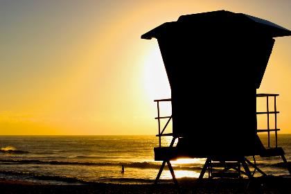 一本大道香蕉大在线75